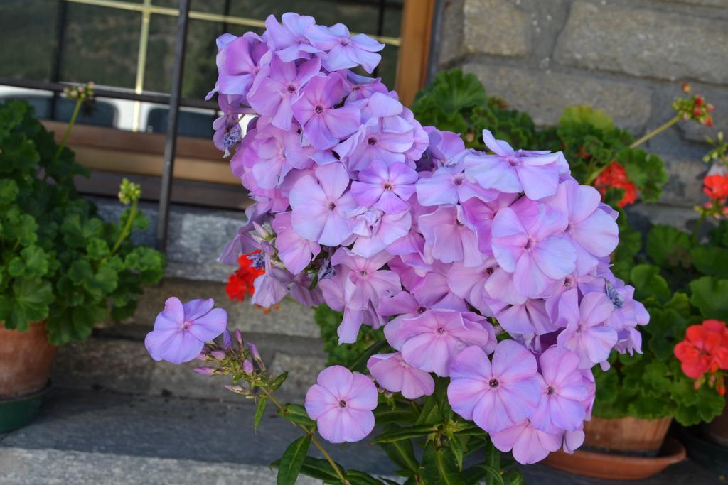 B&B Les Fleurs Gignod Εξωτερικό φωτογραφία