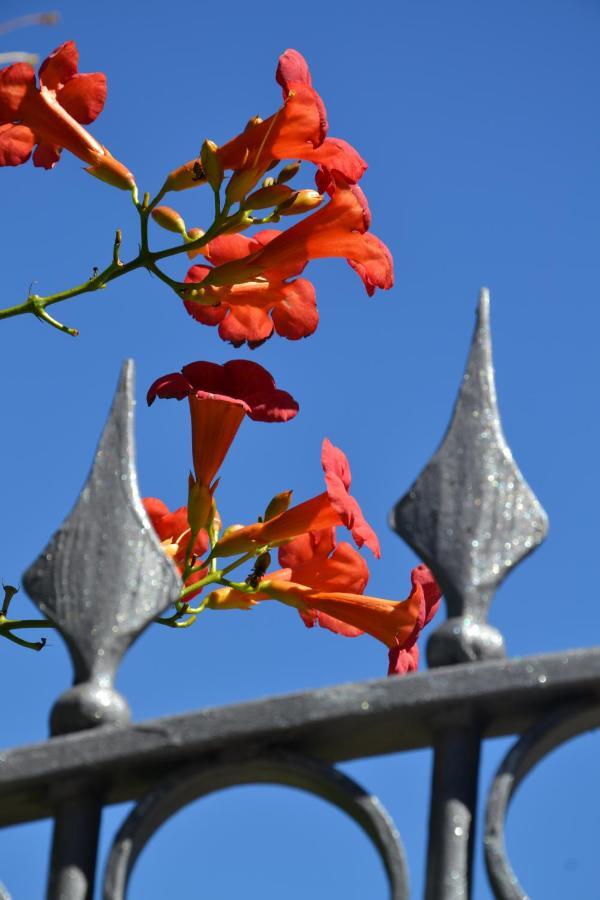 B&B Les Fleurs Gignod Δωμάτιο φωτογραφία